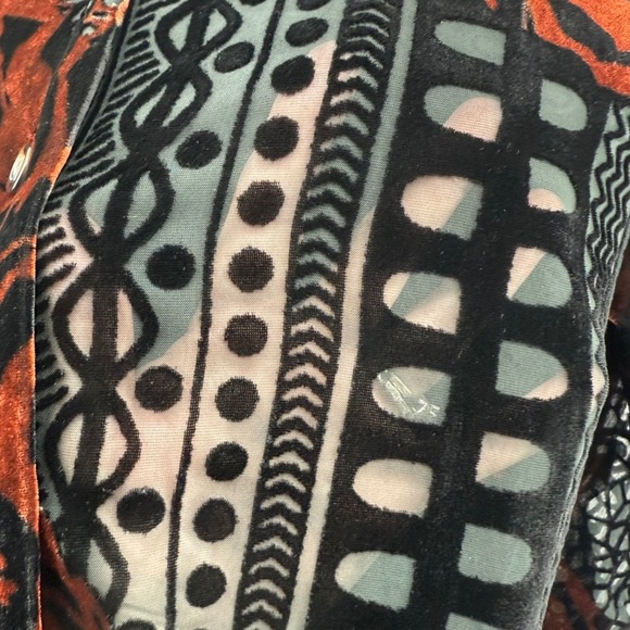 Coldwater Creek Velvet Burnout Shirt Dress Tunic 1X Floral Button Down Artsy EUC - Picture 4 of 12